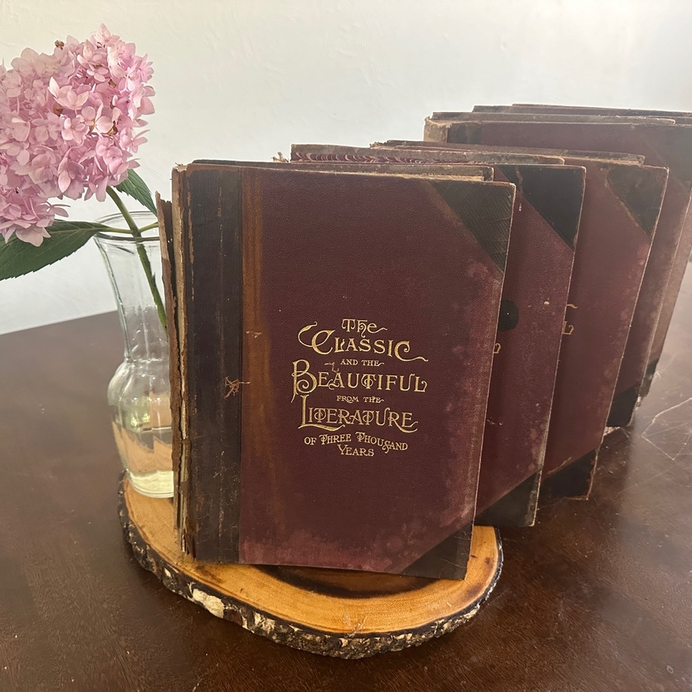 6 Books Classic and the Beautiful from the Literature Of Three Thousand Years